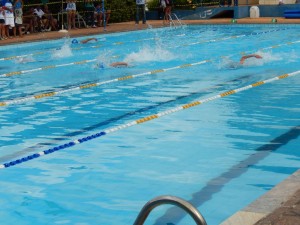 Campeonato de natação 028